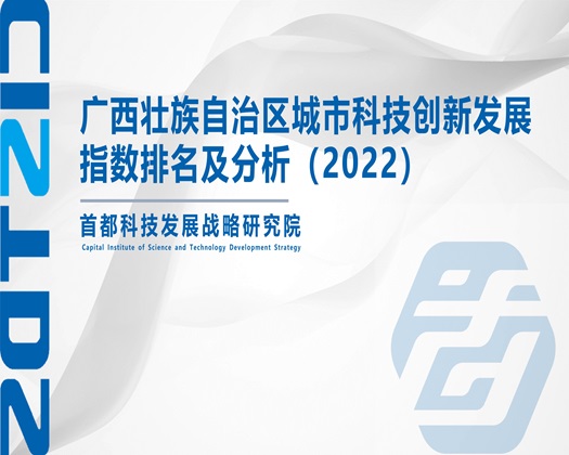 大鸡巴太爽了快弄死我了综合网站【成果发布】广西壮族自治区城市科技创新发展指数排名及分析（2022）